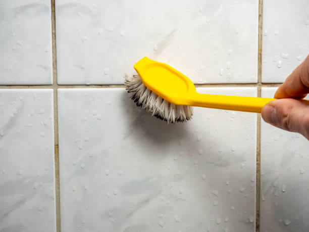 Best Mold Remediation for Specific Building Types in Vandenberg Af, CA