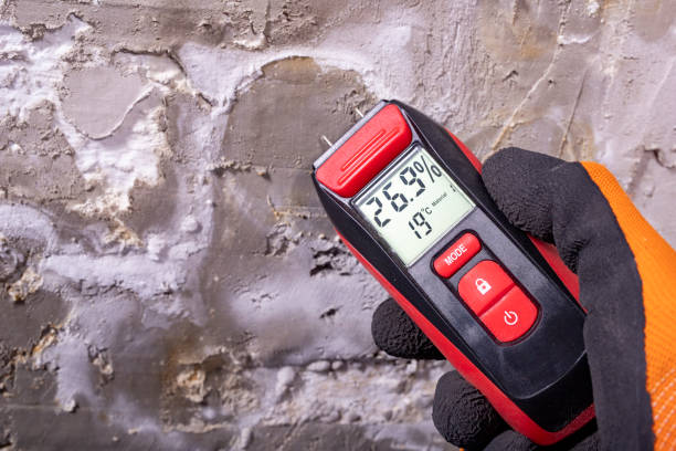 Vandenberg Af, CA Mold Remediation Company
