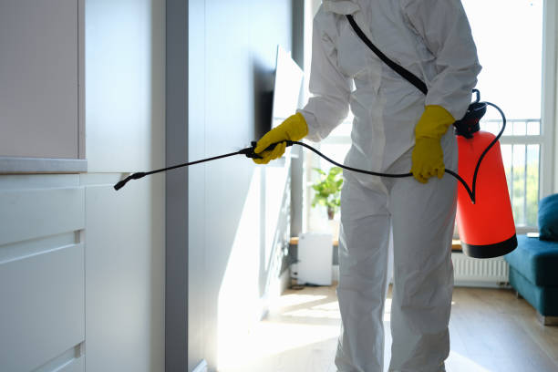 Best Commercial Mold Remediation in Vandenberg Af, CA