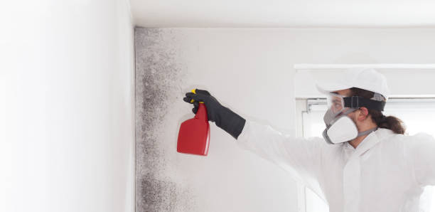 Best Crawl Space Mold Remediation in Vandenberg Af, CA