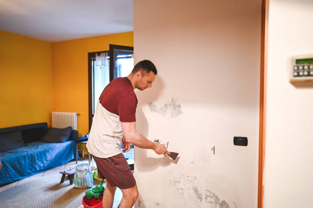 Best DIY Mold Remediation Support Services in Vandenberg Af, CA